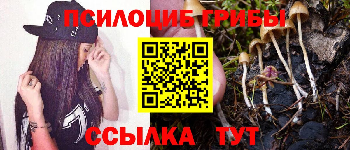 Псилоцибиновые грибы ЛСД  Вход с VPN  Бийск 