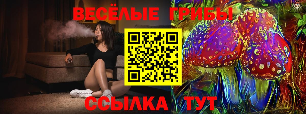 Галлюциногенные грибы Psilocybine cubensis Бийск